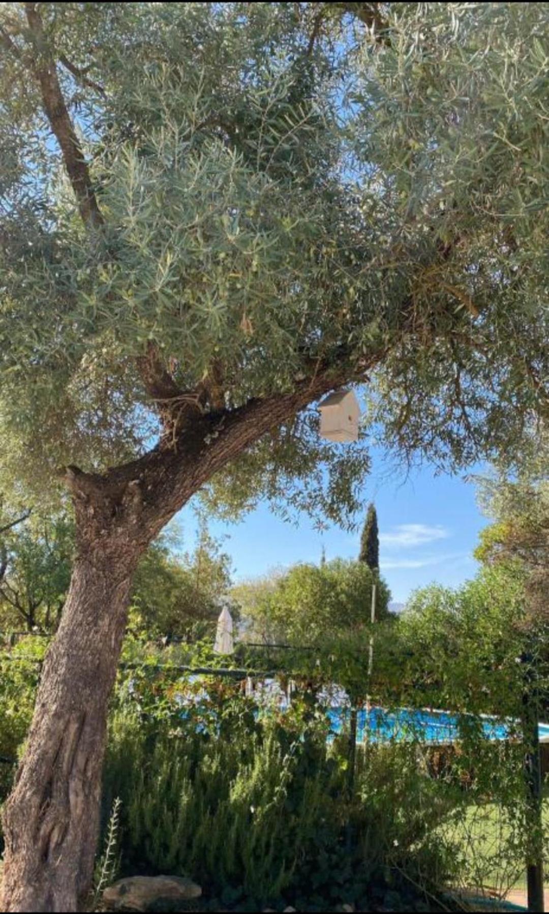 Hébergement de vacances Casa Abanto *